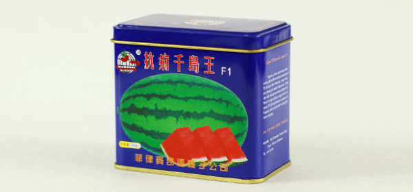 種子鐵盒.png 種子鐵盒.png