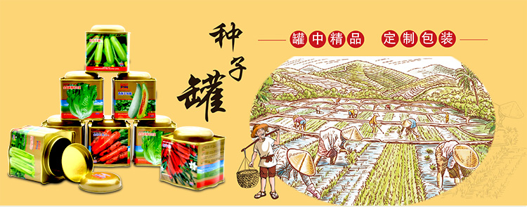 圓頂異型種子罐系列套裝鐵盒包裝_01.jpg 圓頂異型種子罐系列套裝鐵盒包裝_01.jpg