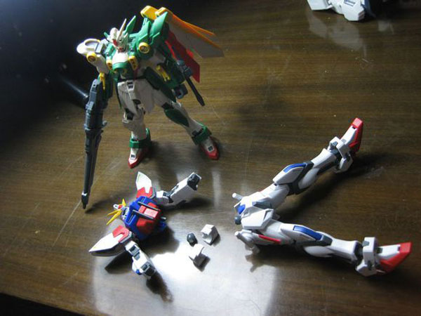 獎勵的玩具 獎勵的玩具