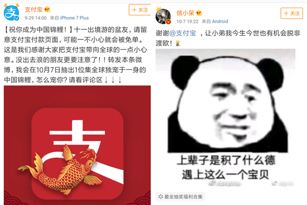 支付寶轉(zhuǎn)發(fā)錦鯉活動 支付寶轉(zhuǎn)發(fā)錦鯉活動