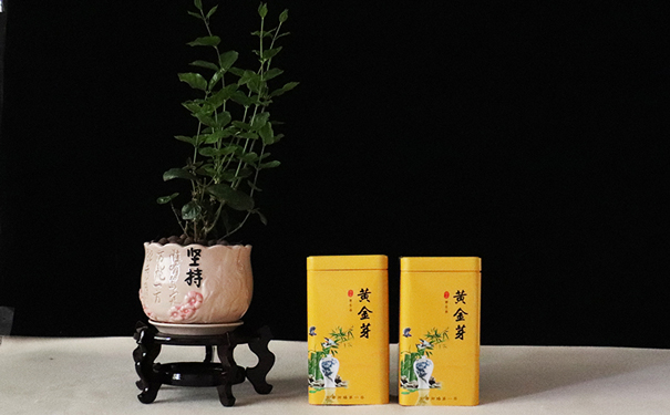 茶葉鐵罐 茶葉鐵罐