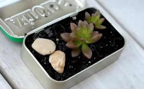 鐵盒改造 鐵盒改造