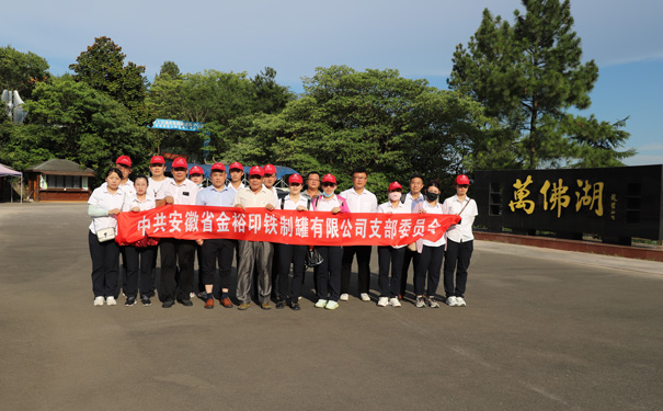 七一黨建活動(dòng) 七一黨建活動(dòng)