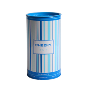 精美化妝品鐵盒包裝 新款出口化妝品包裝設(shè)計